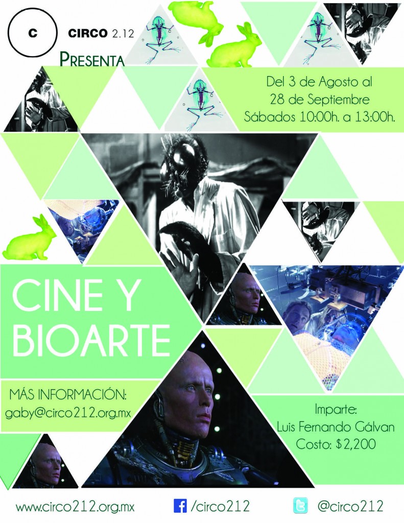 CineyBioarte